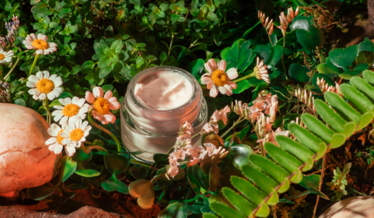 The Ugly Side Of Beauty: The Truth About Sustainability And The Cosmetics Industry - Part One