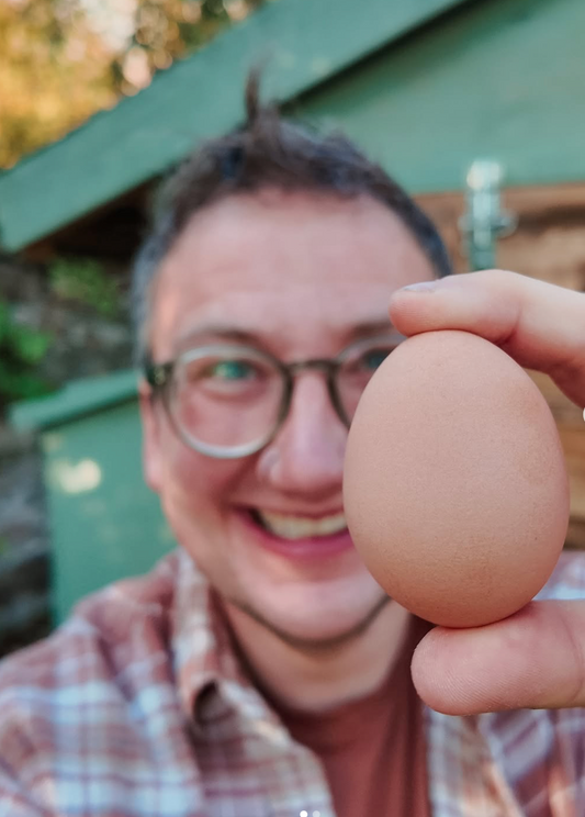 The Quiet Influence of Dreams: How Rewilding Jude and His Chicken Coop Inspired Me