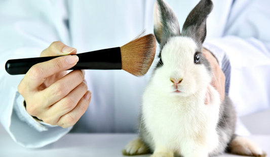 What The Hell Is Happening To The UK’s Ban on Animal Testing For Cosmetics?