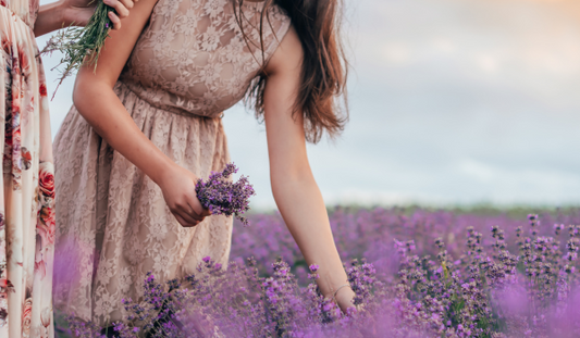 My Essentials Series: The Timeless Lore Of Lavender Oil